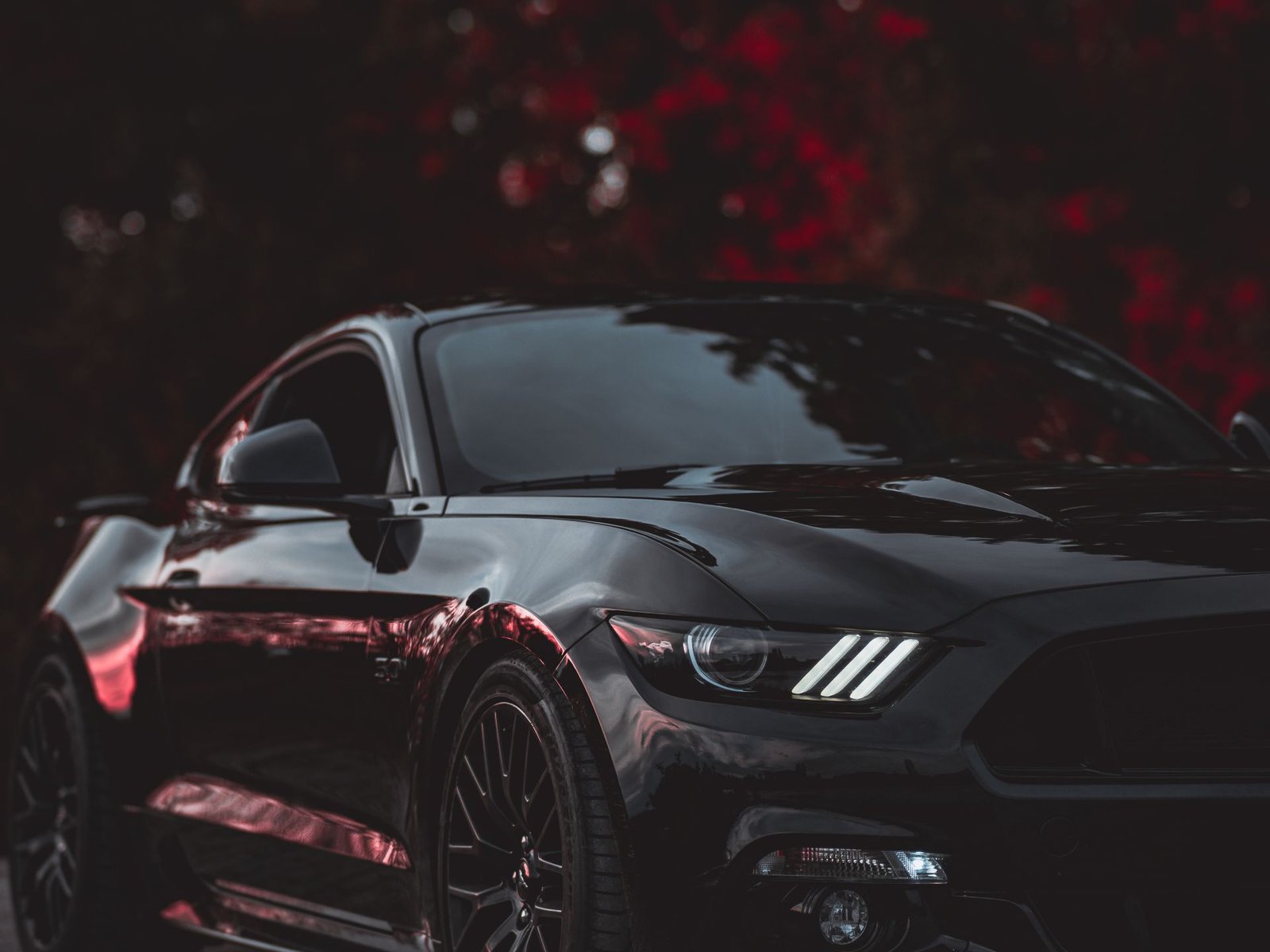 Glossy black sports sedan photographed at night, headlights lit